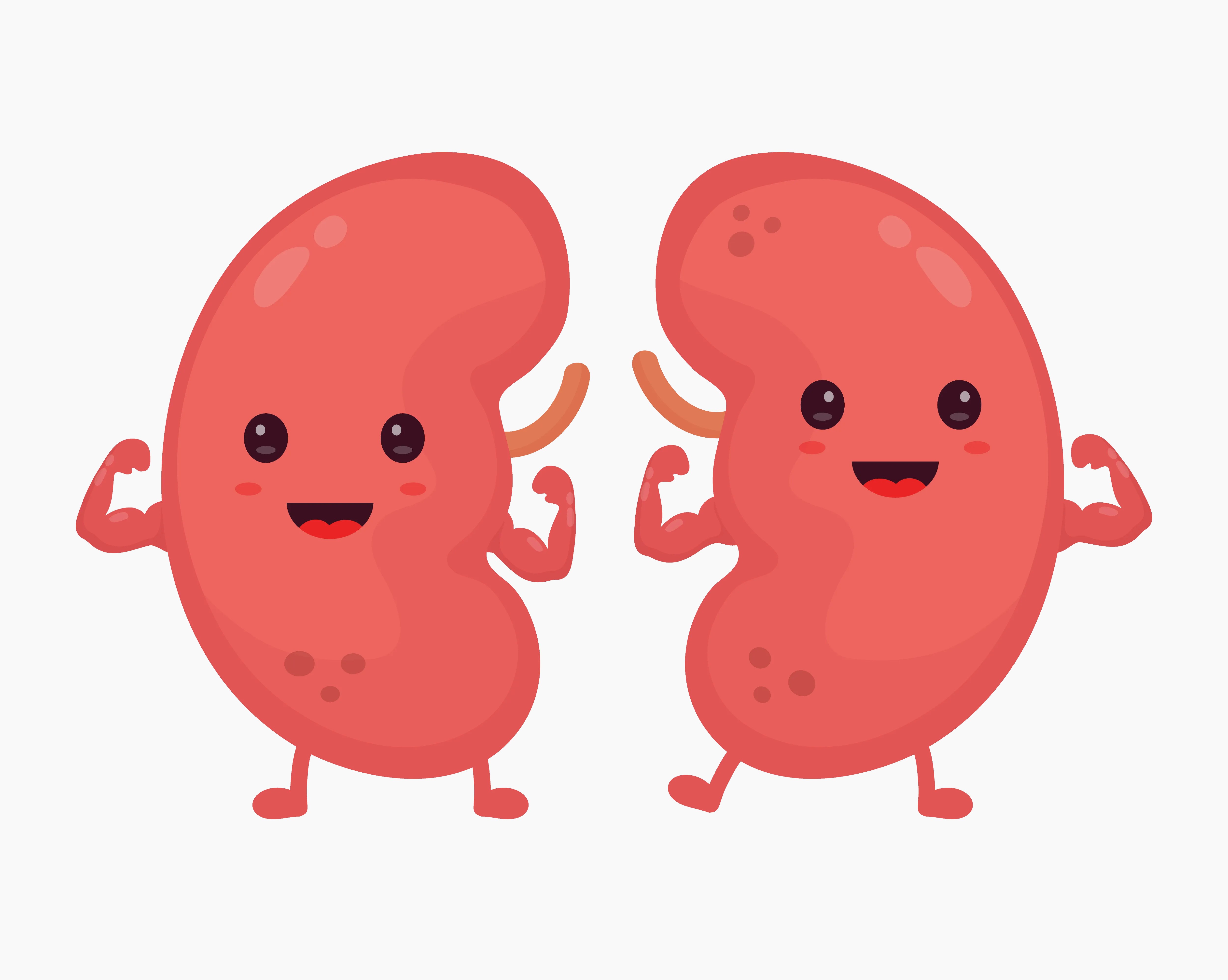 Kidney